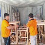 Shipping From Bali to Adelaide