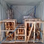 Shipping From Bali to Adelaide