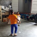 Bali to Adelaide furniture shipping