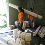 Bali Move to Brisbane