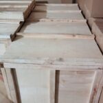 Moving from Bali to USA