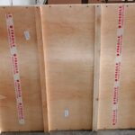 Moving from Bali to USA