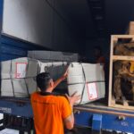 Moving from Bali to New Plymouth New Zealand